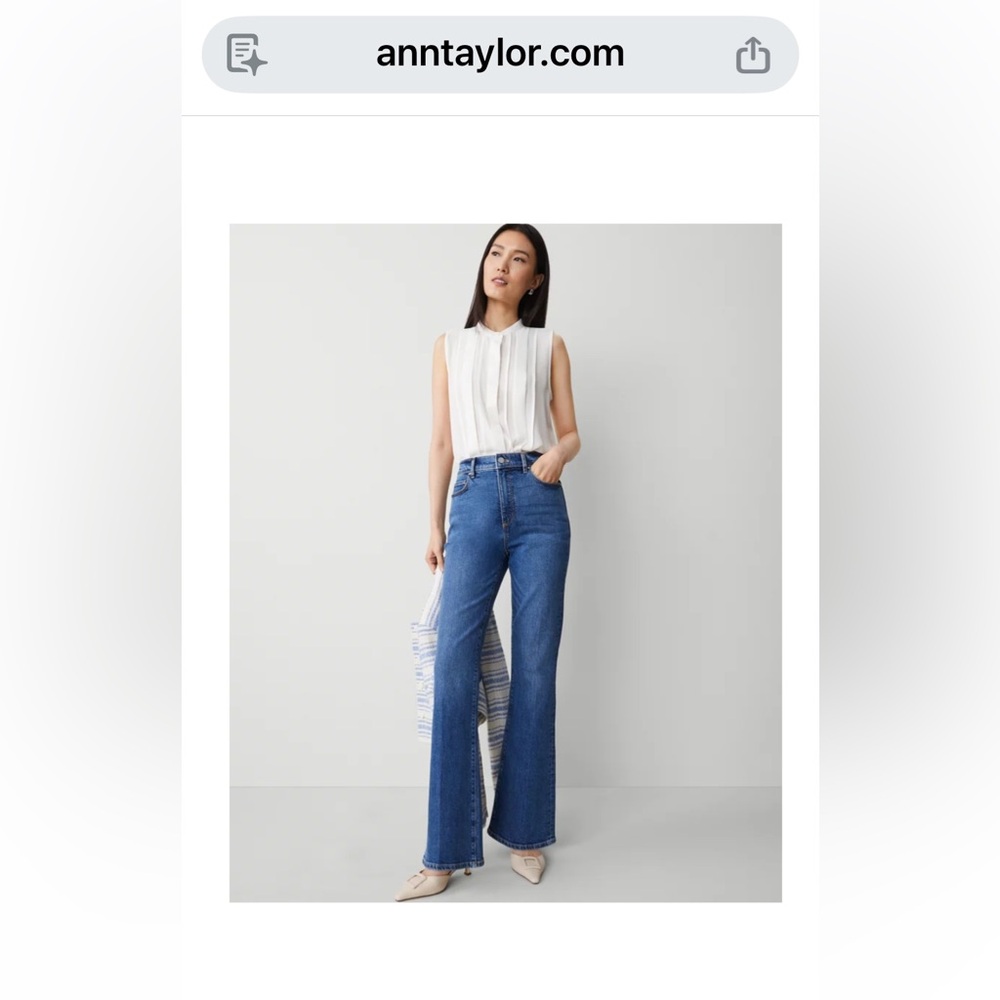 Classic Blue Women's Jeans
Ann Taylor